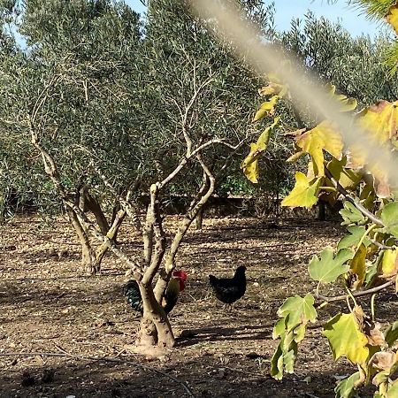 Cortijo Rural Barranco La Higuera Aguamarga 7 Villa อัลเมรีอา ภายนอก รูปภาพ