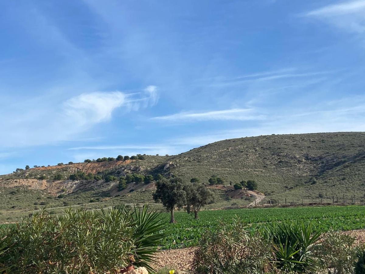 Cortijo Rural Barranco La Higuera Aguamarga 7 Villa อัลเมรีอา ภายนอก รูปภาพ