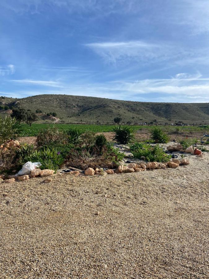 Cortijo Rural Barranco La Higuera Aguamarga 7 Villa อัลเมรีอา ภายนอก รูปภาพ