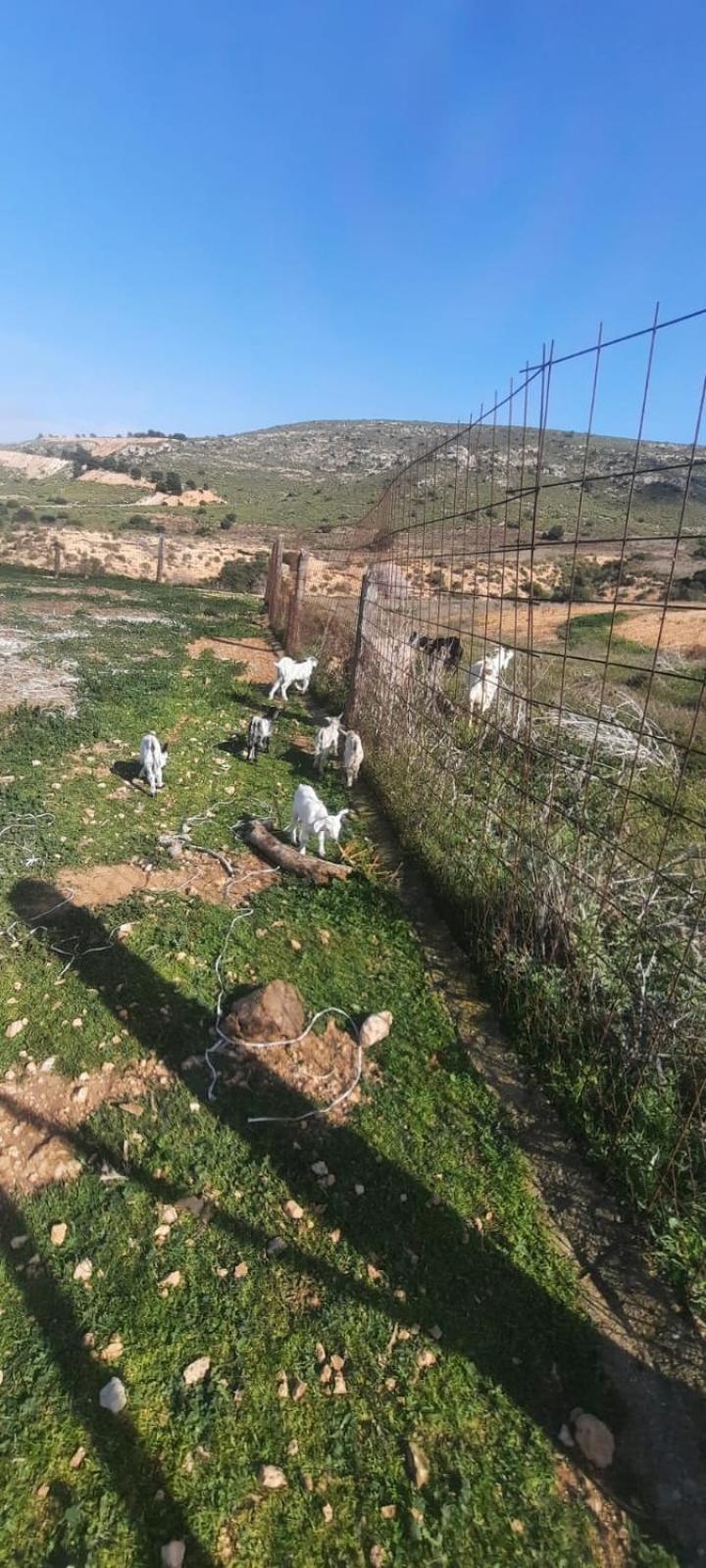 Cortijo Rural Barranco La Higuera Aguamarga 7 Villa อัลเมรีอา ภายนอก รูปภาพ