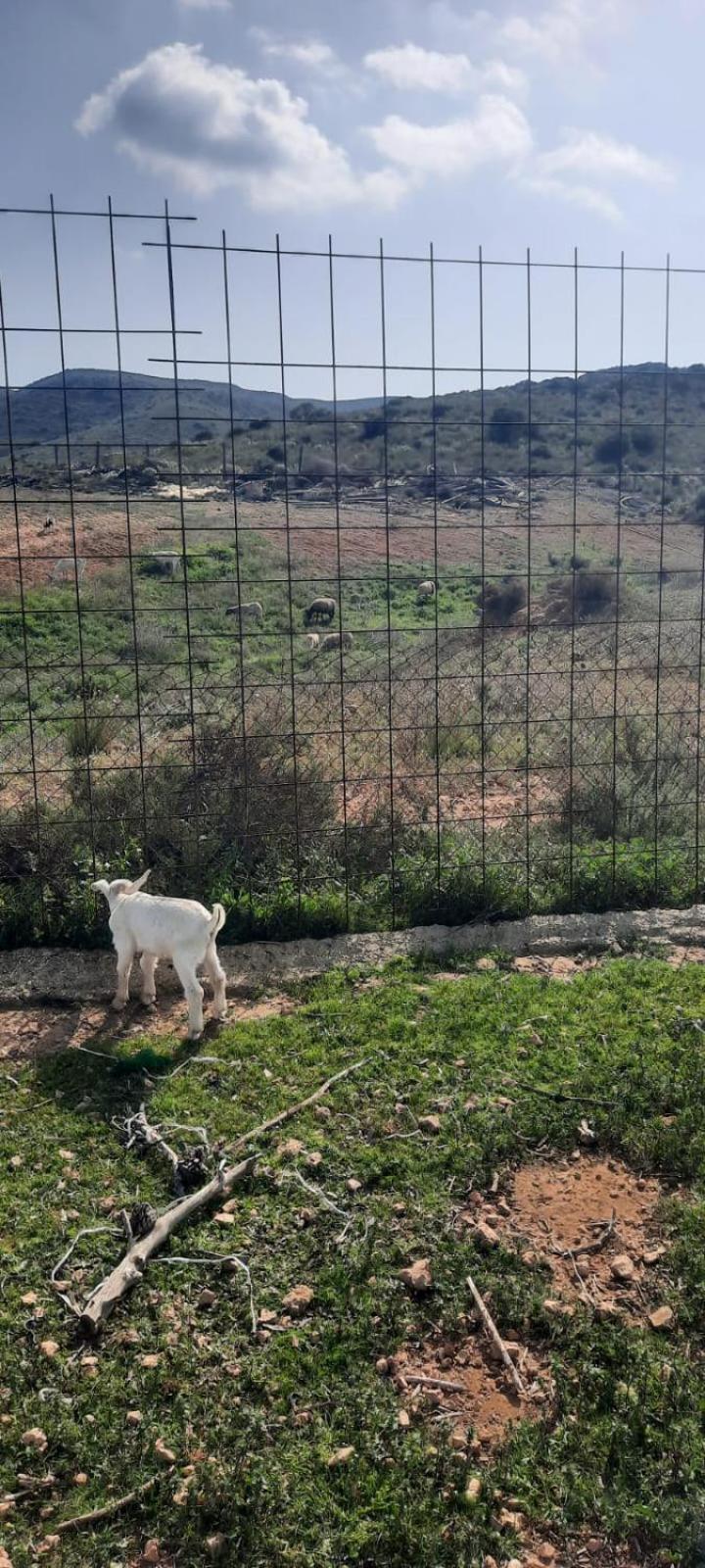 Cortijo Rural Barranco La Higuera Aguamarga 7 Villa อัลเมรีอา ภายนอก รูปภาพ